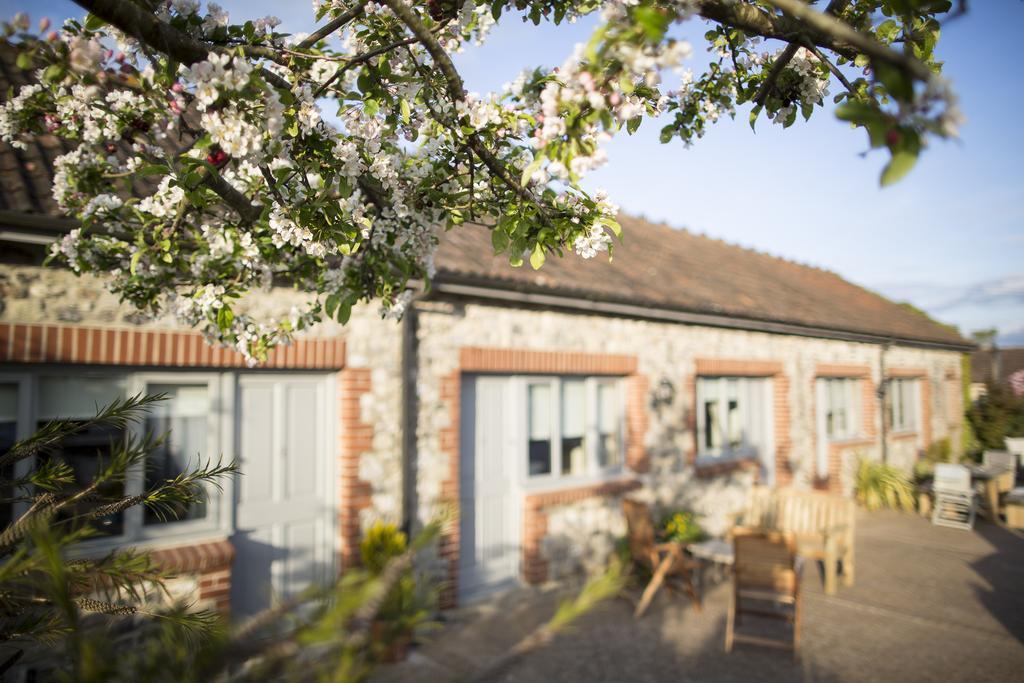 The Tytherleigh Arms Аксминстер Экстерьер фото